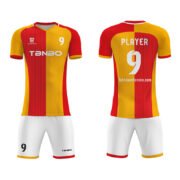 Custom Soccer Jerseys sets Full Sublimated Team name Player Names,Logo and Numbers - Image 2